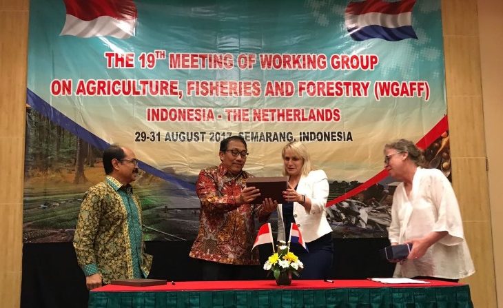 Belanda Tertarik Dengan Model Pengambangan Bawang Merah Indonesia