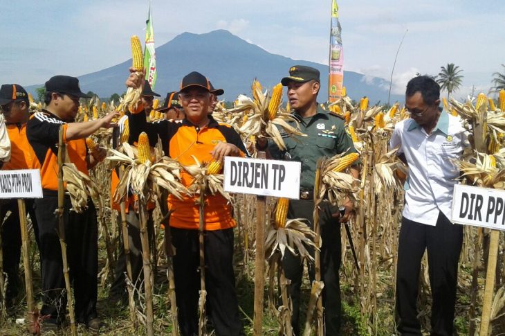 Desember 2016, Kesejahteraan Petani Meningkat Lagi. Tertinggi Perkebunan Rakyat.