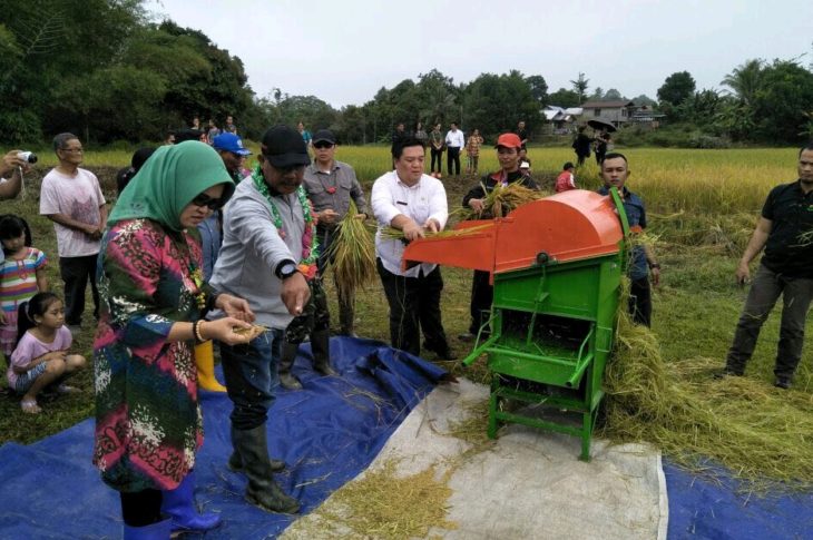 Panen Raya Beras Organik di Perbatasan Kabupaten Nunukan