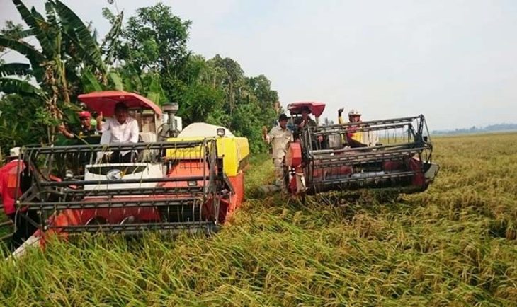 Tiga Tahun Era Jokowi Rumah Tangga Petani Miskin Menurun