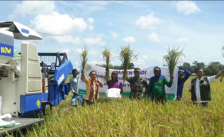 Petani Padi Desa Linonggasai Sulawesi Tenggara Menikmati Hasil Panen Saat Ini