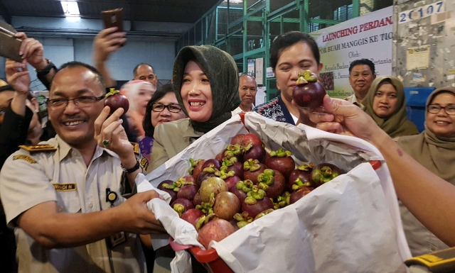 Lima Tahun Ditangguhkan Kini Manggis Indonesia Bisa Tembus Pasar Tiongkok