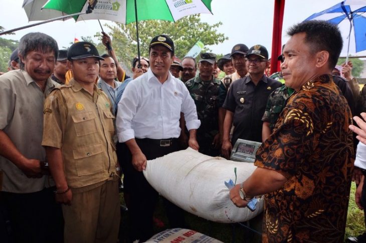 Harga Gabah di Sukabumi Jatuh Hingga Rp 3.800 per/kg, Tim Sergap Langsung Borong