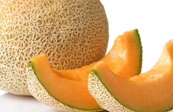 Rock Melon Australia Berbakteri Barantan Bergerak Cepat