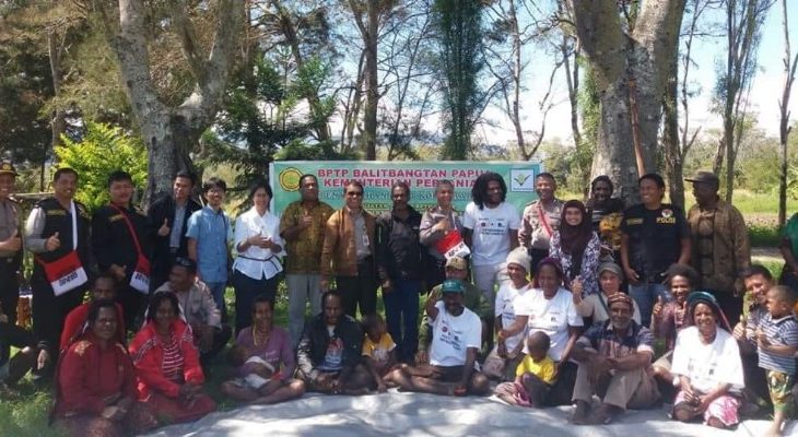 Inilah Eranya Kebangkitan Kejayaan Kopi Arabika Wamena Papua