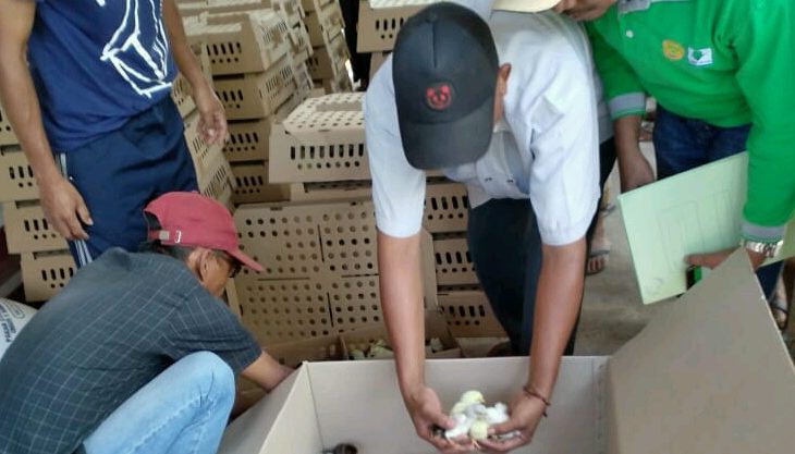 Kementan Bantu Rakyat Lombok Melalui Program Bekerja, Rakyat Antusias