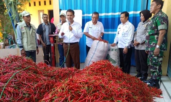 Kementan Launching Pasar Lelang Cabai Tuban