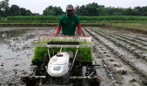 Menuju Titik Regenerasi Petani  Muda Modern Menyongsong Swasembada Pangan Menuju Lumbung Pangan Dunia