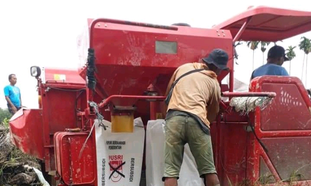 Akselerasi Penerapan Teknologi Largo Super di Lahan Sawit Kab Dharmasraya