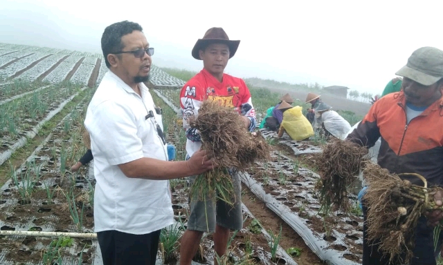 Petani Magelang dan Temanggung Bantah Menolak Benih Impor yang Direkomendasi Pemerintah