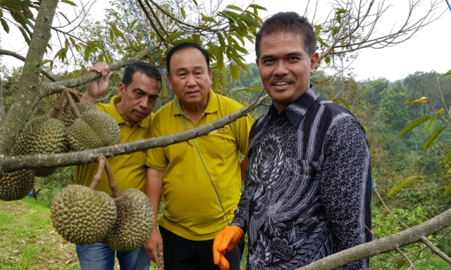 Gaet Durian Mania, Kementan Optimis Durian Lokal Semakin Bersaing di Pasar Ekspor