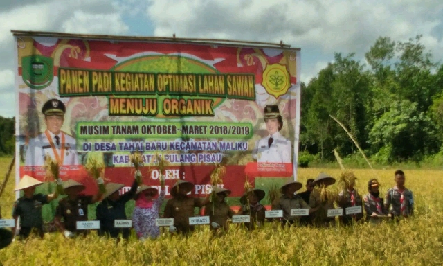 Kalteng Lakukan Optimasi Lahan Sawah Menuju Organik Untuk Dongkrak Produksi Padi