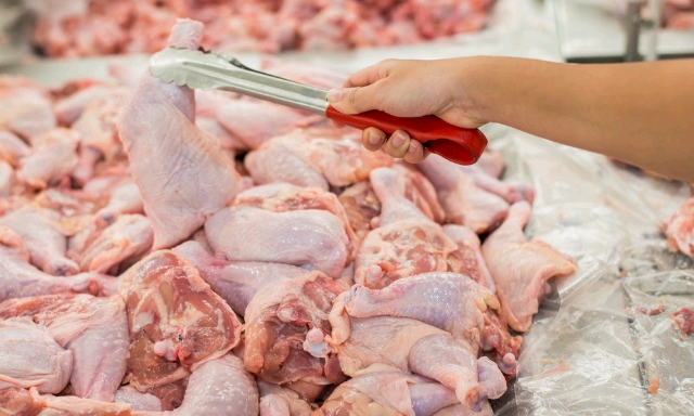 Soal Harga Ayam, Ini Pendapat Anggota Parlemen