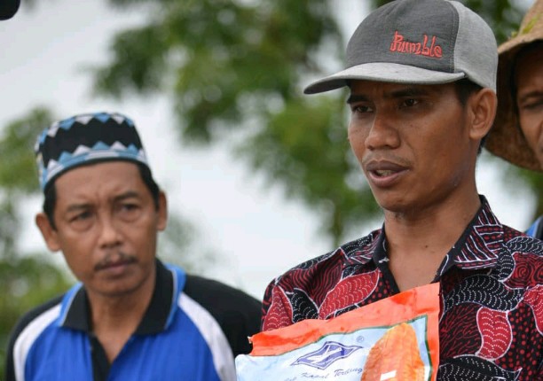 Tanam Jagung Hibrida, Pendapatan Petani Madura Meningkat
