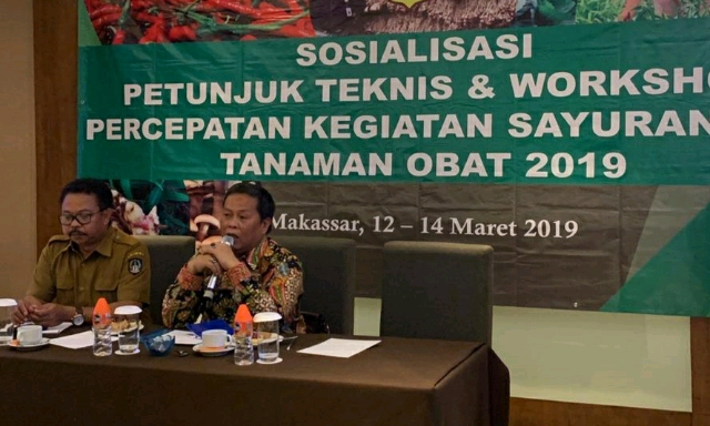 Jaga Pasokan dan Harga, Kementan Tumbuhkan Sentra Baru Kawasan Timur Indonesia