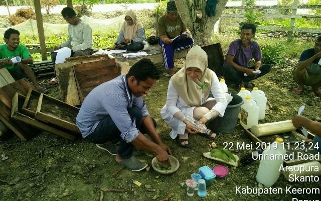 Budidaya Bawang Merah Asal Biji Botani Atasi Pemasalahan Benih di Papua