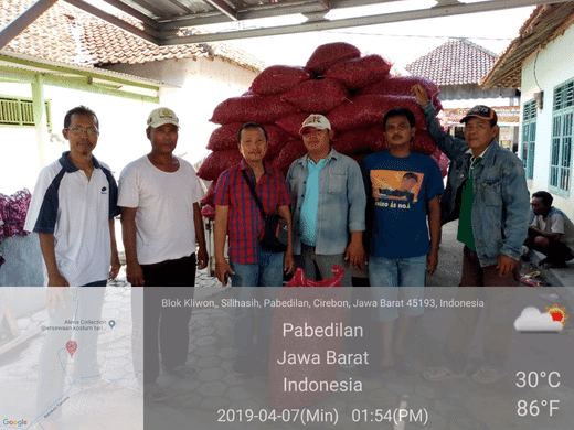 Kementan Gelar Operasi Pasar Benih, di Petani Bawang Merah Cirebon