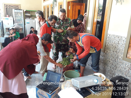 Mewaspadai WBC, BPTP Banten Rutinkan Pembelajaran SL Teknologi Pengendalian WBC