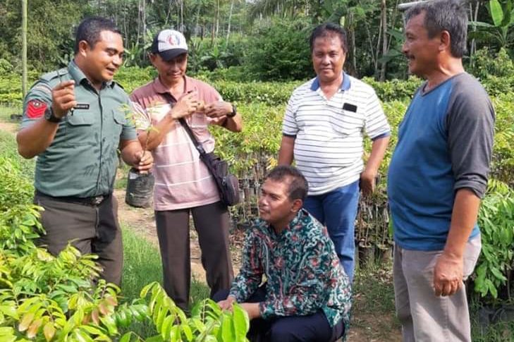 Kementan Dorong Magelang Sentra Pembibitan Unggul Hortikultura