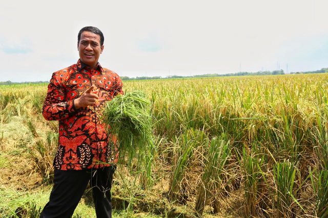 Dengan Pertanian Indonesia Akan Jadi Salah Satu Negara Perekonomian Terbesar
