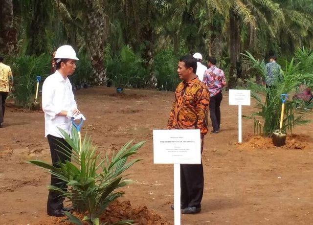 Kementan Siap Kolaborasi Satu Data Kelapa Sawit Indonesia