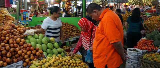 Kebijakan Amran Mendorong Ekspor, Kawasan Hortikultura Dikoneksikan dengan Pasar Dalam dan Luar Negeri