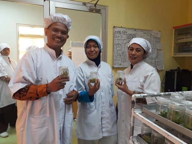 Ekspor Tanaman Hias ke 5 Negara dari Mojokerto Capai 1,7 Juta Pieces