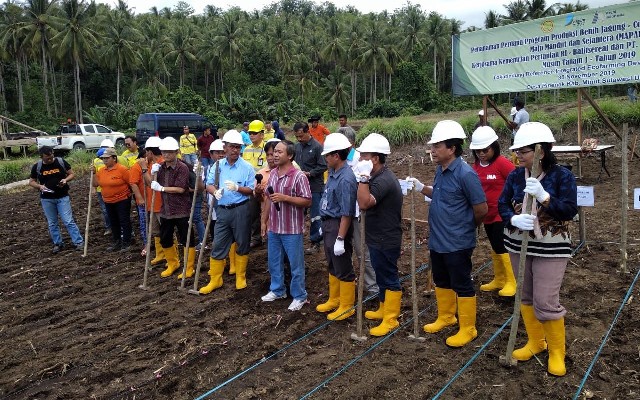 Foto : Kegiatan Pencanangan Tanam Perdana Perbenihan Jagung Hibrida Berbasis Korporasi Petani di Desa Maen, Kecamatan Likupang Timur