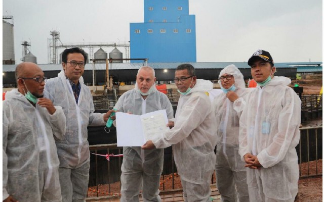 Meningkat Signifikan, Ekspor Babi Tanjung Pinang ke Singapura