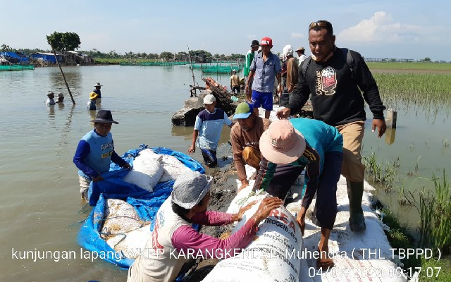 Tanggulangi Banjir Untuk 265 ha Sawah, Kostratani Kapetakan Cirebon Lakukan Gerbu