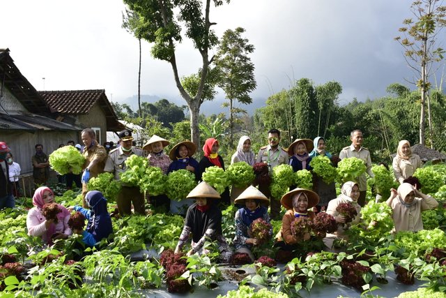 Hari Krida Pertanian, Mentan Ajak Jaga Optimisme Pertanian Indonesia