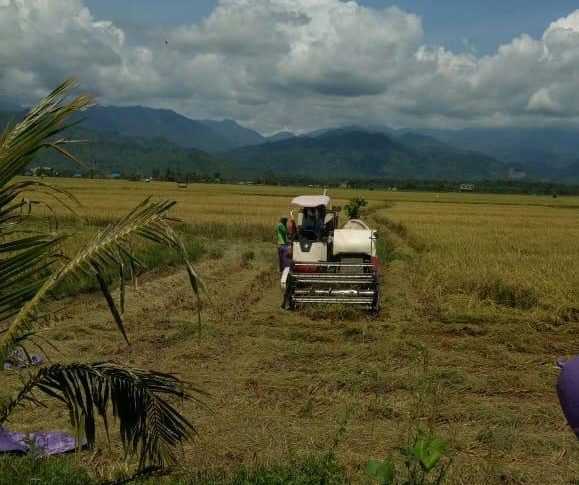 Ditengah Pandemi Covid-19,  Kostratani Dorong Parigi Moutong Surplus Beras