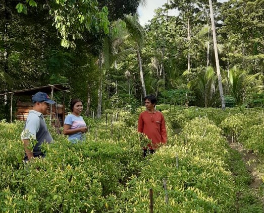 Foto : Melalui Program Padat Karya Dengan Memanfaatkan Dana Desa, Masyarakat Kabupaten Kepulauan Sangihe Melakukan Wajib Tanam untuk Meningkatkan Ketahanan Pangan di Tengah Pandemi Covid-19