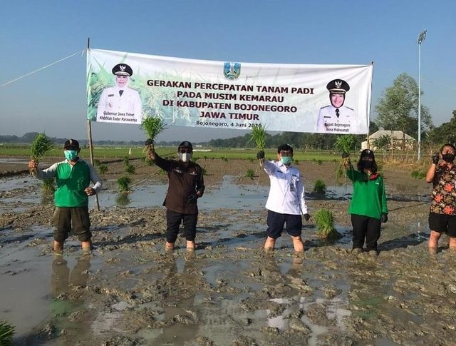 Pemasok Beras Jatim, Bojonegoro Percepat Tanam Padi