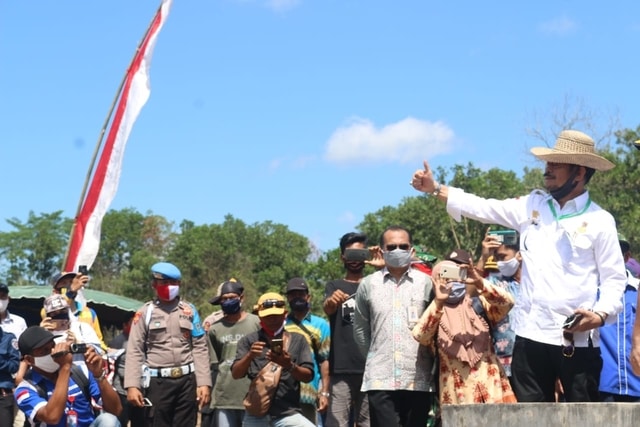 Mentan Tinjau Budidaya Padi Rawa di Kalteng, Produksi Beras Aman