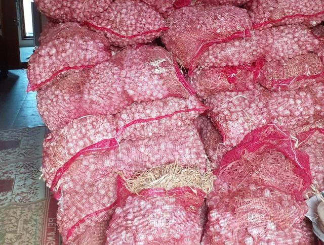 Foto : Bawang Putih yang Akan di Impor Sebanyak 450 Ribu Ton