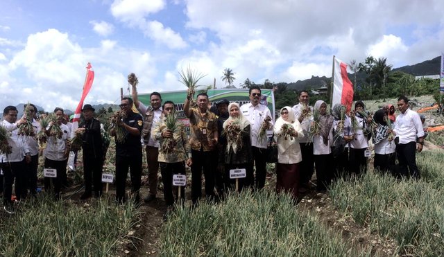 Foto : Bantuan Kementan untuk Mendorong Produksi Bawang Merah di Enrekang