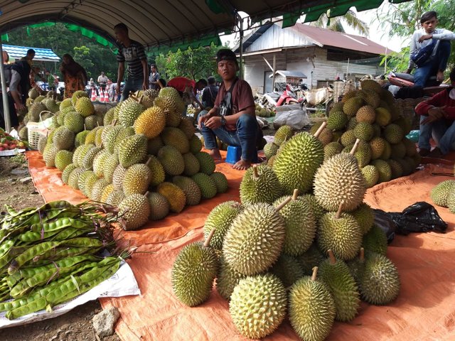 Foto : Festival Durian 2020 untuk Mengangkat Pamor Durian Lokal di Danau Tamiyang, Desa Mandikapau Barat, Kecamatan Karangintan, Kabupaten Banjar.