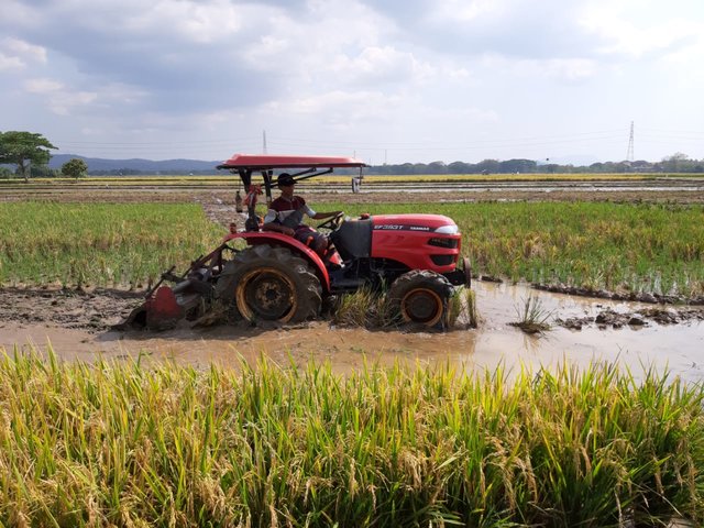 Foto : Lahan Pertanian Subur yang Sedang Dibajak oleh Alsintan Kementerian Pertanian (Kementan)