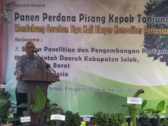 Foto: Bupati Solok H. Gusmal saat sambutannya dalam Panen Perdana Pisang Kepok Tanjung di Kabupaten Solok.