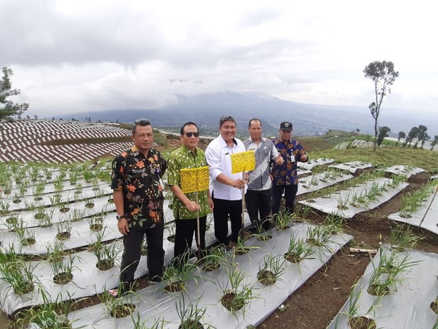 Foto : Direktur Jenderal Hortikultura, Prihasto Setyanto Saat Melihat Lahan Tanaman Bawang