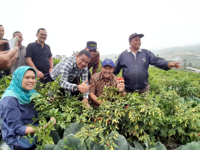 Indikator Kinerja Makro Subsektor Hortikultura Semakin Membaik