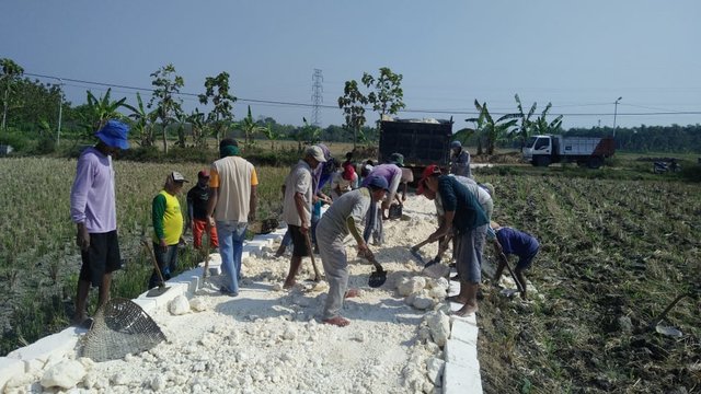 Foto : Padat karya tunai Kementan dengan membangun jalan usaha tani.