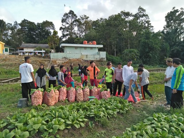 Di Tengah Pandemi Covid-19, Pertanian Masuk Sekolah Terus Beraktivitas