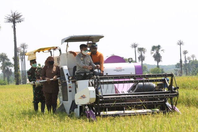 Foto : Menteri Pertanian Syahrul Yasin Limpo Sedang Mencoba Combine Harvester Saat Panen Raya di Kabupaten Pandeglang, Banten