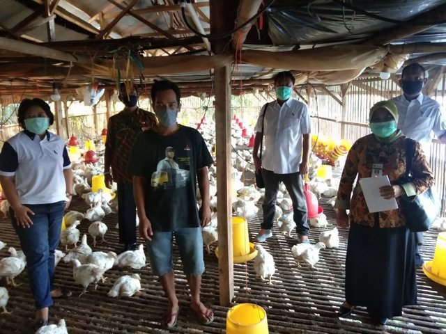Foto : Fasilitasi Untuk Menampung dan Membeli Ayam Broiler Kepada Para Peternak Mandiri