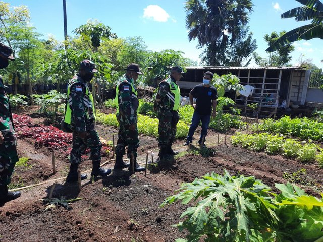 Foto : Para Babinsa dari TNI yang Ikut Berkontribusi Mengendalikan Inflasi dengan Pembudidayaan Tanaman Hortikultura