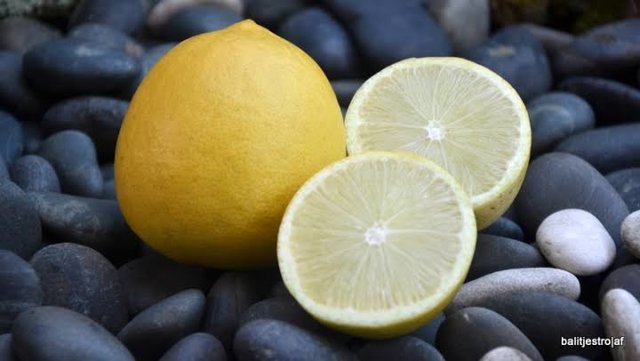 Montaji Agrihorti, Lemon Tanpa Biji Kaya Vitamin