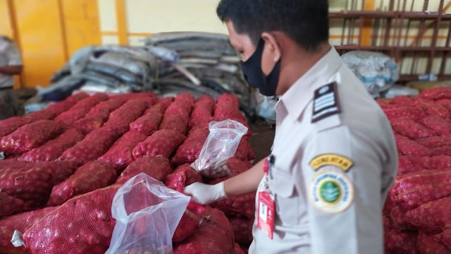 Sebanyak 36 Ton Bawang Merah Impor Ilegal Dikuasai Negara