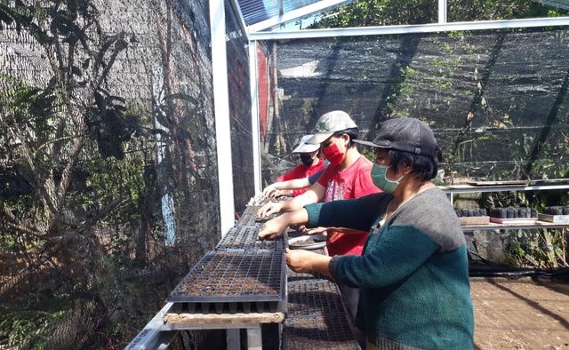 Terus Tanam di Pekarangan,  Pangan di Musim Kemarau Aman